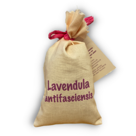 Lavendel mit Grußkarte